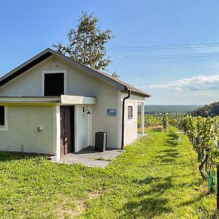 Schoenes Ferienhaus Eisenberg Eisenberg an der Pinka Bagian luar foto