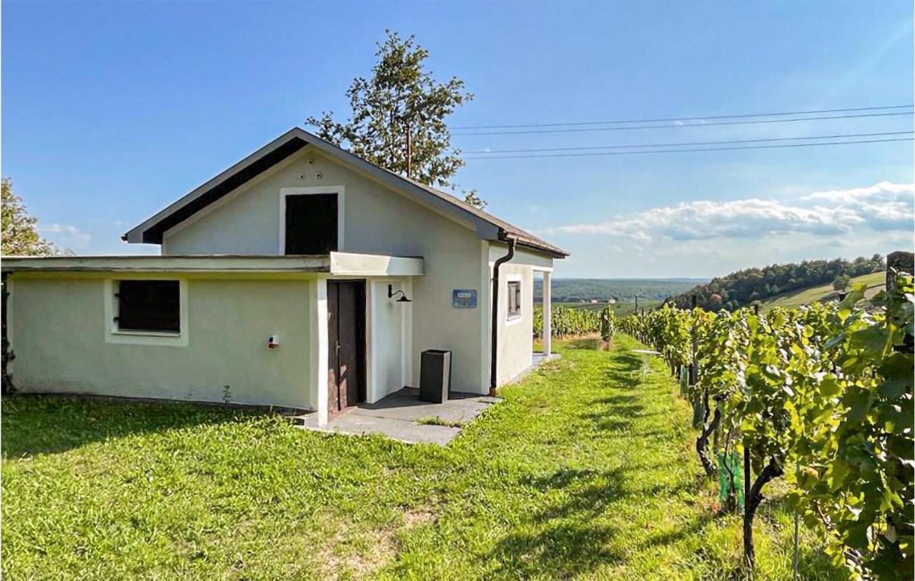 Schoenes Ferienhaus Eisenberg Eisenberg an der Pinka Bagian luar foto